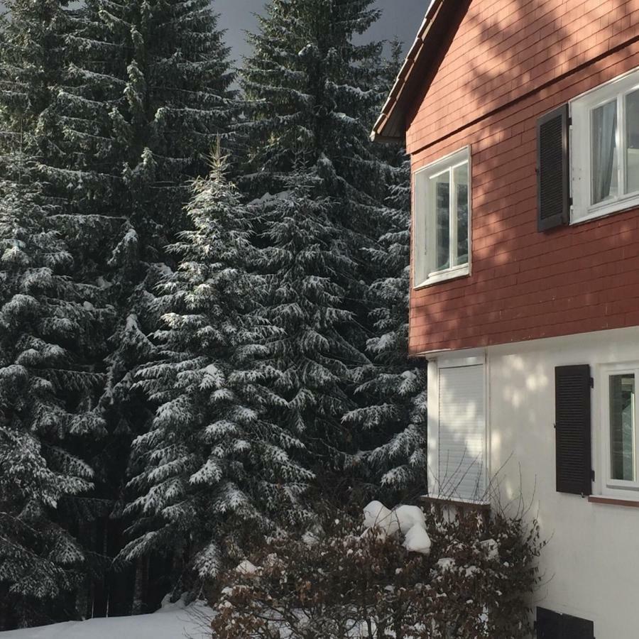 Ferienwohnung Boerner Книбис Екстериор снимка